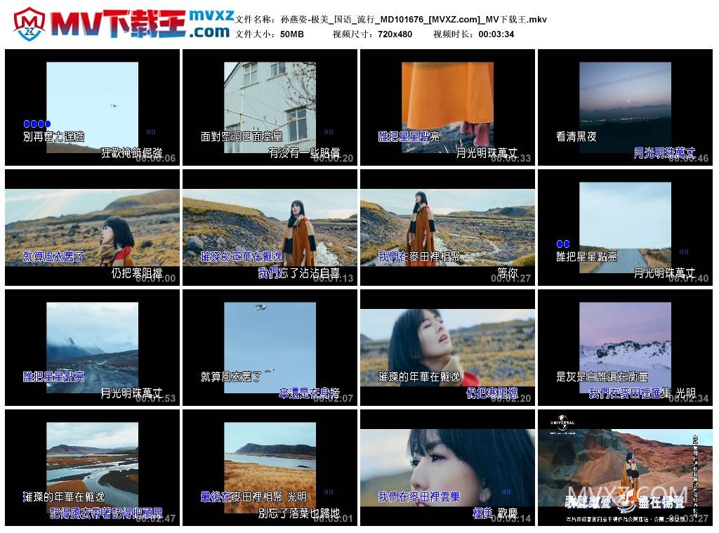 孙燕姿-极美_国语_流行_MD101676